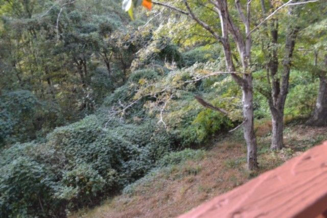 450 Cedar Hill Rd, Celina, TN 38551