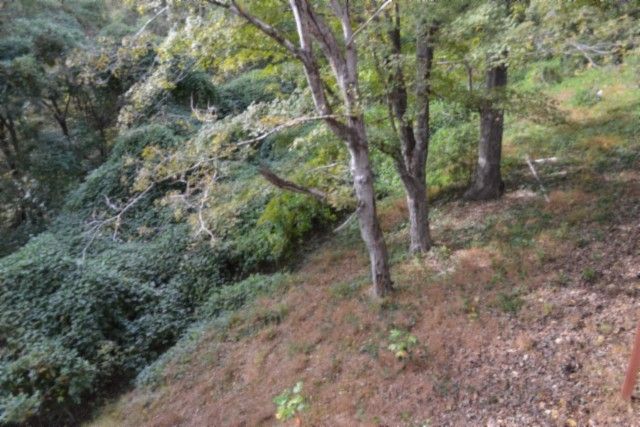 450 Cedar Hill Rd, Celina, TN 38551