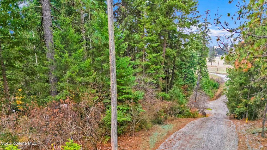 Reagan Dr, Coeur d'Alene, ID 83814 photo 16