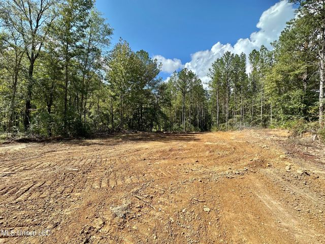 0 Bridges Road, Florence, MS 39073