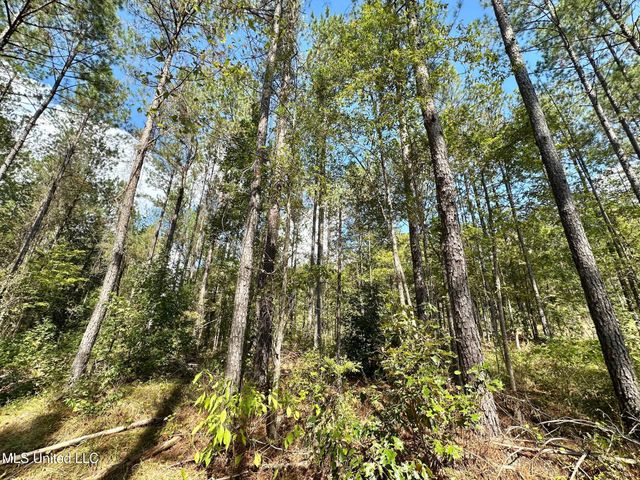 0 Bridges Road, Florence, MS 39073