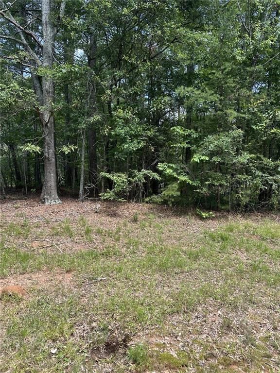 4583 Bennett Road, Buford, GA 30519