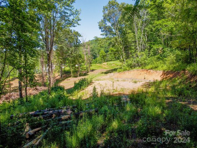8125 Ellijay Road, Franklin, NC 28734