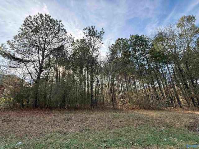 Lot 19 Sweetwater Lane, Rainbow City, AL 35906