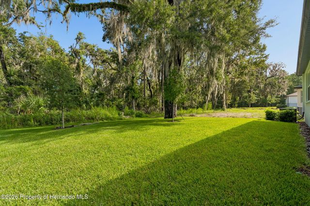 19451 Forest Garden Court, Brooksville, FL 34601