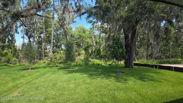 19451 Forest Garden Court, Brooksville, FL 34601