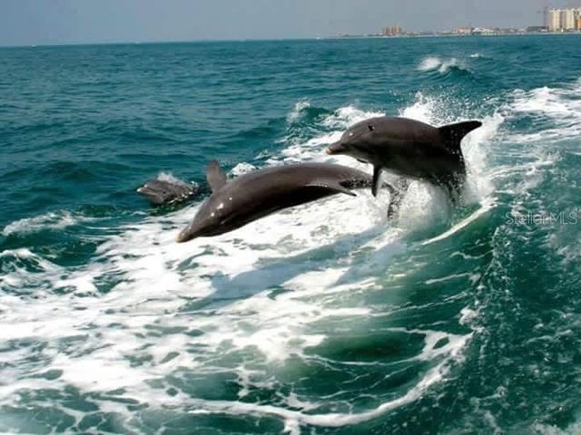 2542 CORTENOVA COURT, Venice, FL 34292