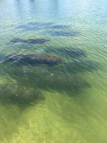 2542 CORTENOVA COURT, Venice, FL 34292