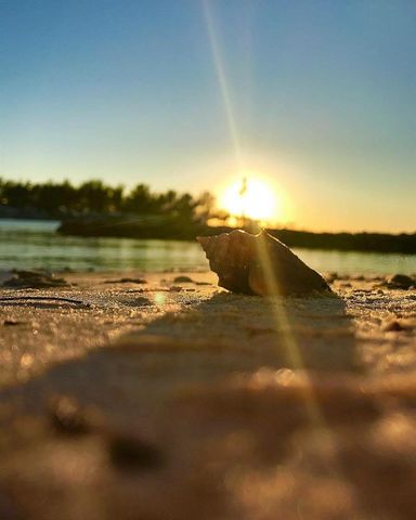 2542 CORTENOVA COURT, Venice, FL 34292