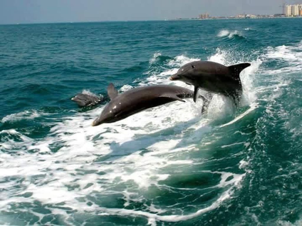 Image 75 of property listing at 2542 CORTENOVA COURT, Venice, FL 34292