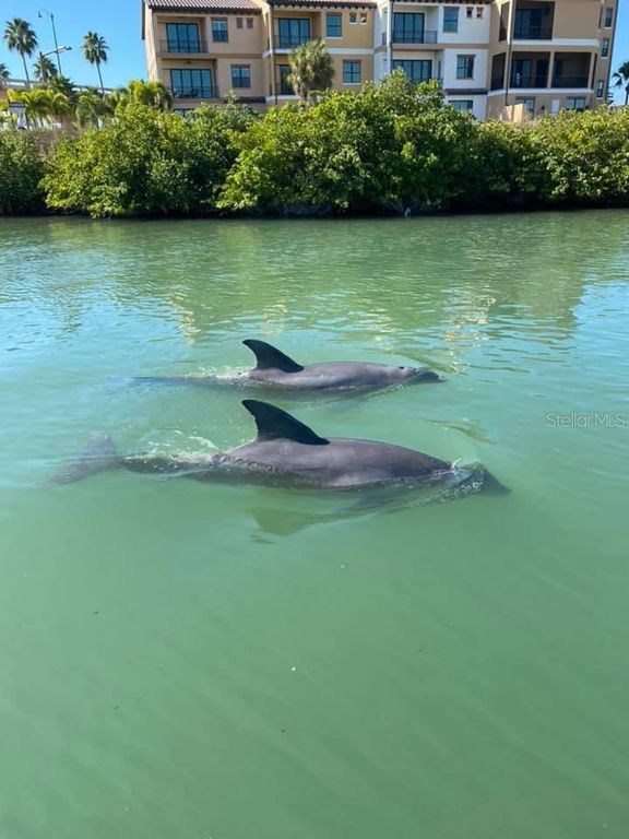 Image 76 of property listing at 2542 CORTENOVA COURT, Venice, FL 34292