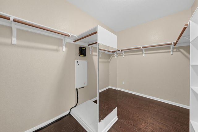 16804 Brewer Blackbird DR, Pflugerville, TX 78660
