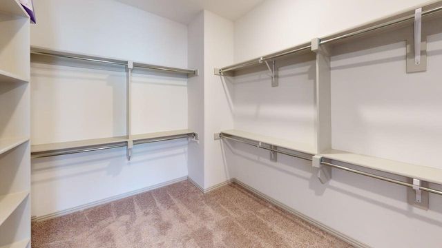 12926 Leopold Trail, Frisco, TX 75035