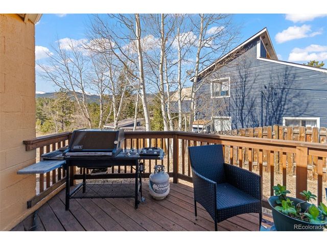 211 Appleby St, Bailey, CO 80421