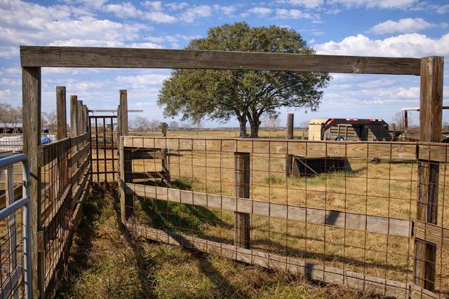 9439 Jeske Rd, Needville, TX 77461