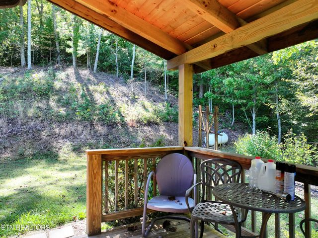 199 Pear Tree Way, Del Rio, TN 37727