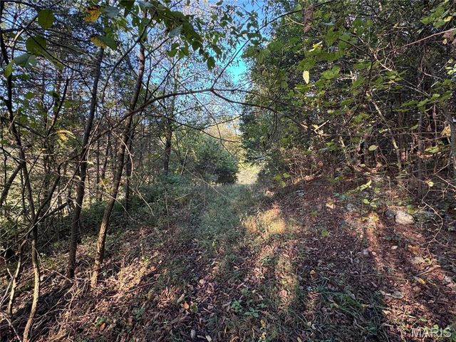 0 Creek Road, Dixon, MO 65459