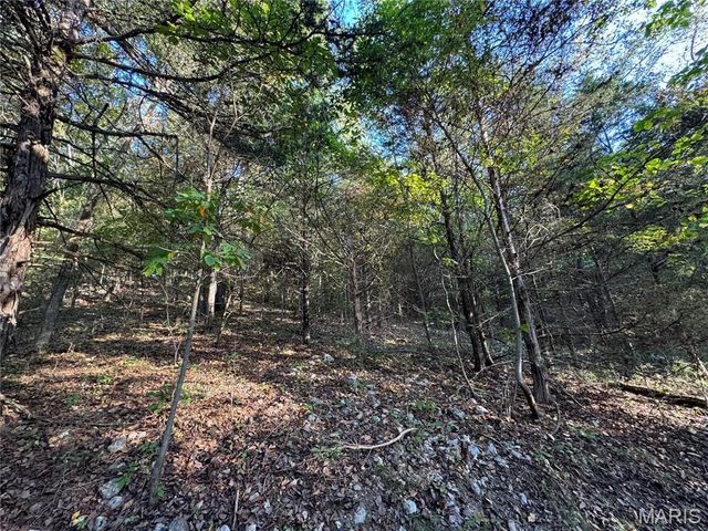 0 Creek Road, Dixon, MO 65459