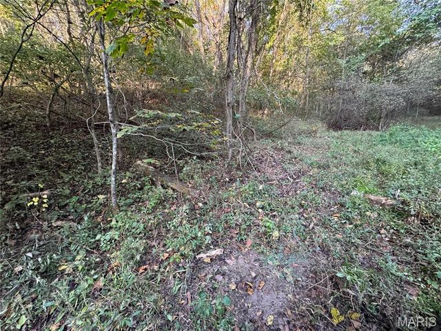 0 Creek Road, Dixon, MO 65459
