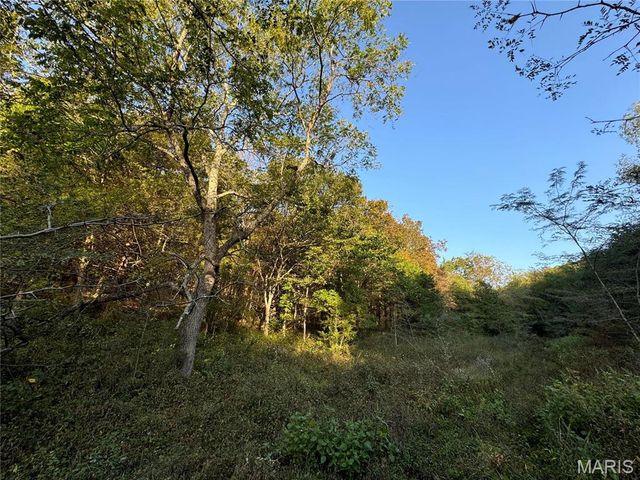 0 Creek Road, Dixon, MO 65459