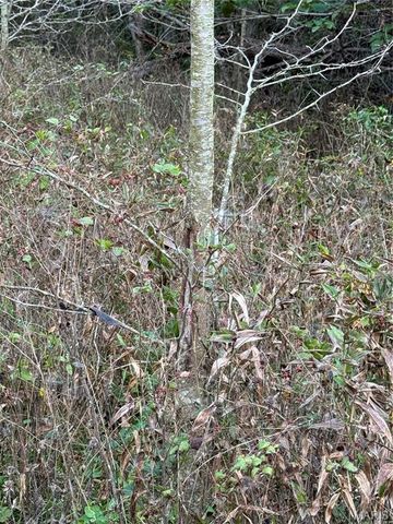 0 Creek Road, Dixon, MO 65459