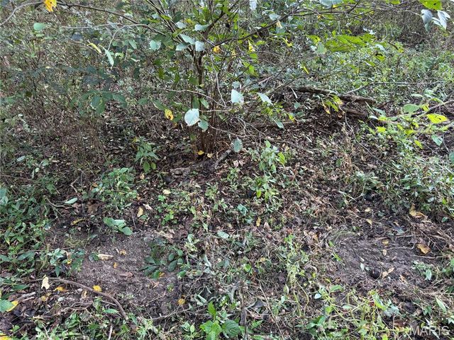 0 Creek Road, Dixon, MO 65459