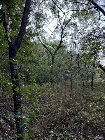 0 Creek Road, Dixon, MO 65459