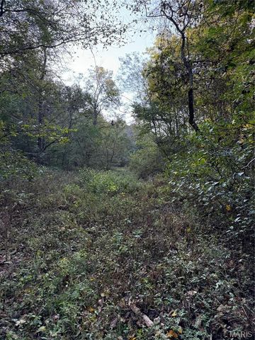0 Creek Road, Dixon, MO 65459