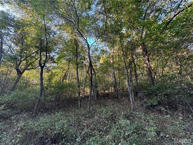 0 Creek Road, Dixon, MO 65459