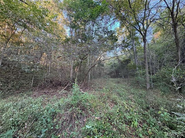 0 Creek Road, Dixon, MO 65459