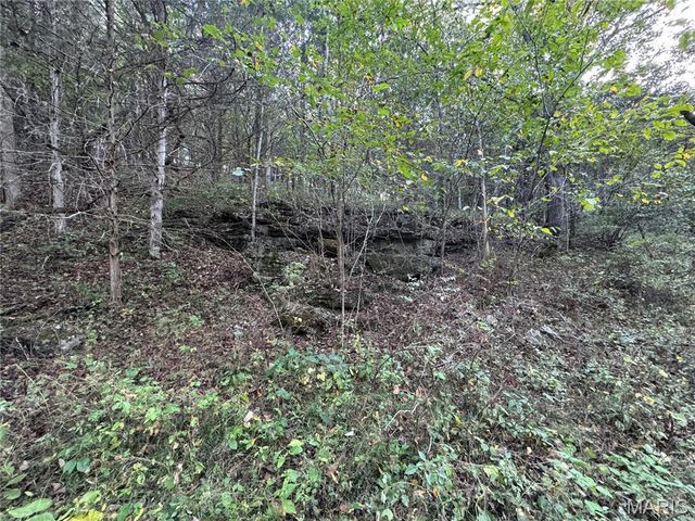 0 Creek Road, Dixon, MO 65459