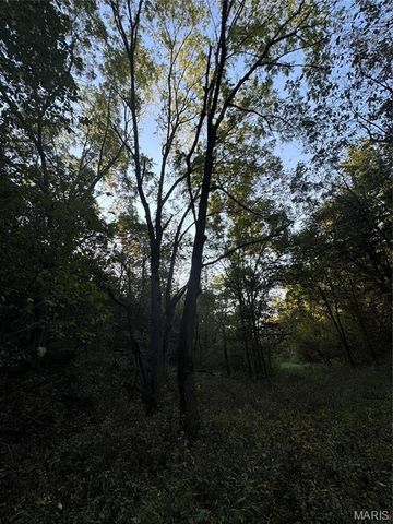 0 Creek Road, Dixon, MO 65459