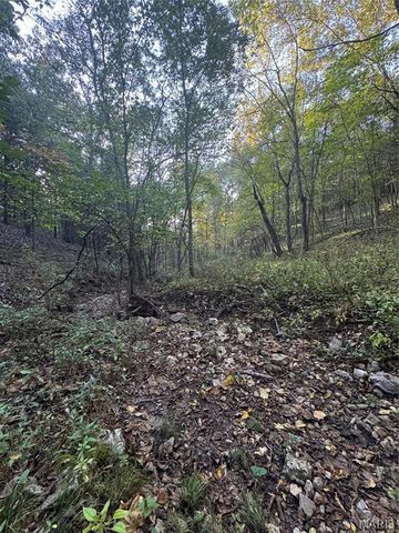 0 Creek Road, Dixon, MO 65459