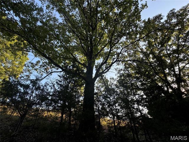 0 Creek Road, Dixon, MO 65459