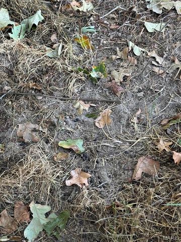 0 Creek Road, Dixon, MO 65459