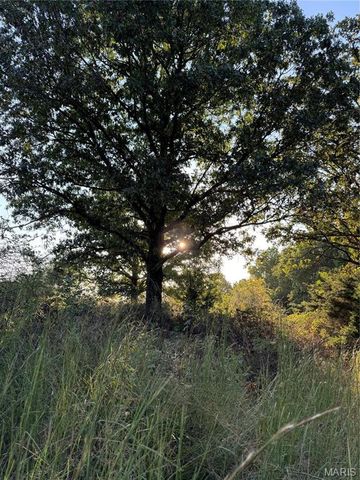0 Creek Road, Dixon, MO 65459