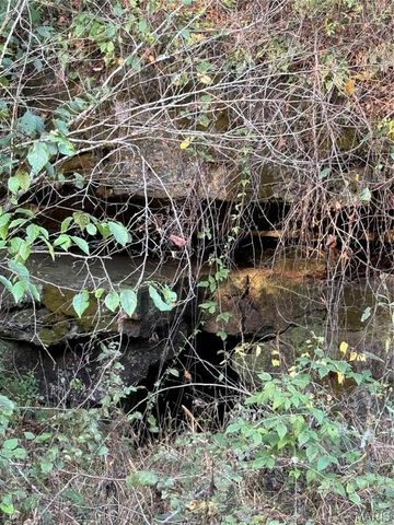 0 Creek Road, Dixon, MO 65459