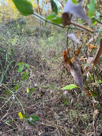 0 Creek Road, Dixon, MO 65459