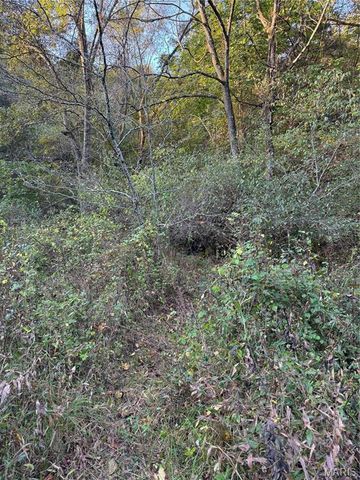 0 Creek Road, Dixon, MO 65459