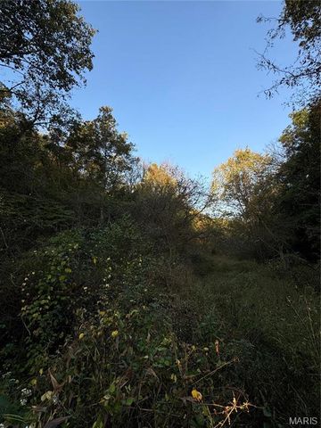 0 Creek Road, Dixon, MO 65459