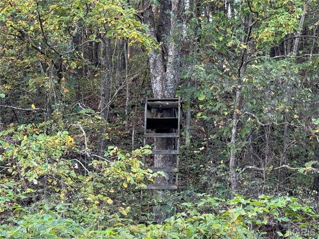 0 Creek Road, Dixon, MO 65459