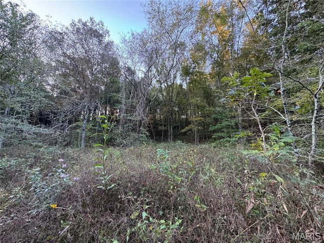 0 Creek Road, Dixon, MO 65459