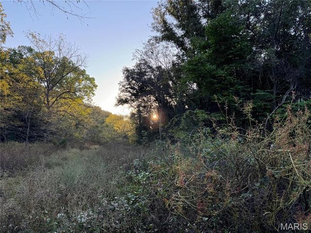 0 Creek Road, Dixon, MO 65459