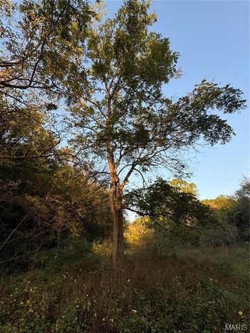 0 Creek Road, Dixon, MO 65459