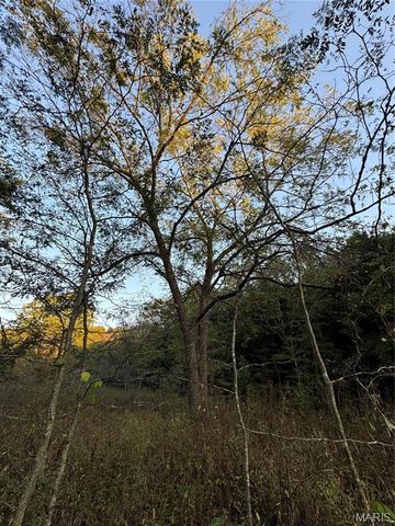 0 Creek Road, Dixon, MO 65459