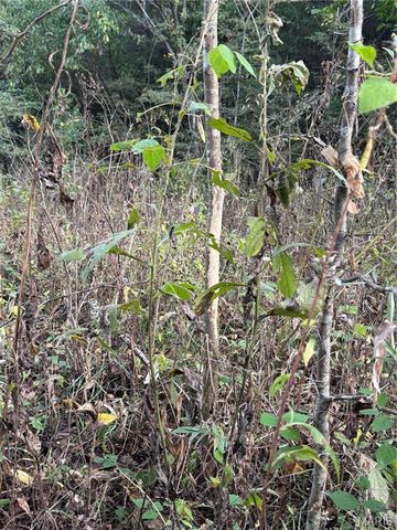 0 Creek Road, Dixon, MO 65459