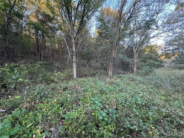 0 Creek Road, Dixon, MO 65459