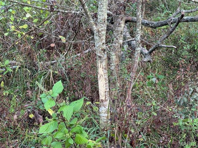 0 Creek Road, Dixon, MO 65459