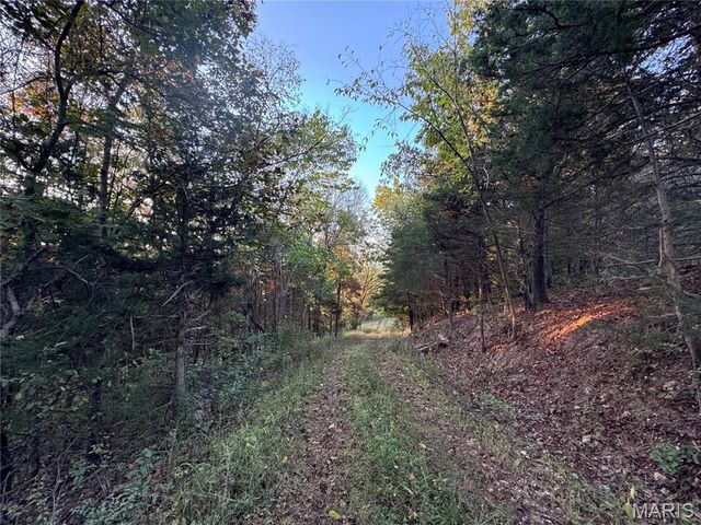 0 Creek Road, Dixon, MO 65459
