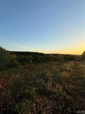 0 Creek Road, Dixon, MO 65459